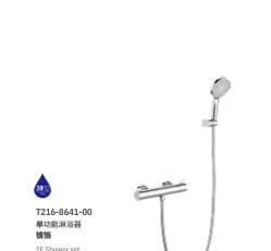 T216-8641-00 Chrome 1F Shower Set